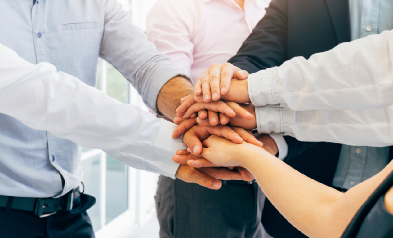 Paisaje natural forestal